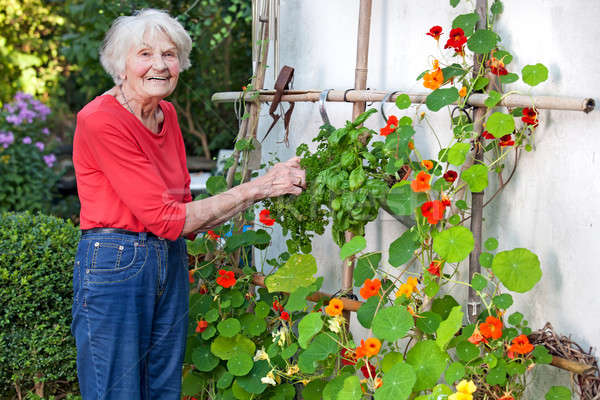 Smiling Old Woman Posing at her Flower Vine Stock photo © belahoche