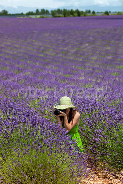 Stock photo: Young woman in lavender field photographing in Provence, France.
