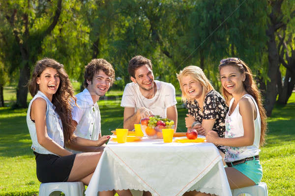 Gezonde jonge tieners genieten zomer picknick Stockfoto © belahoche