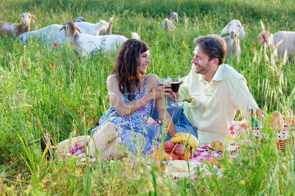 Romantikus pár pirít üveg vörösbor ül Stock fotó © belahoche