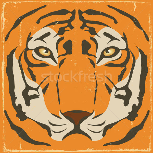 Epocă tigru grunge ilustrare elegant Imagine de stoc © benchart