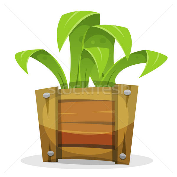 Funny Green Plant In Wood Bucket Stock photo © benchart