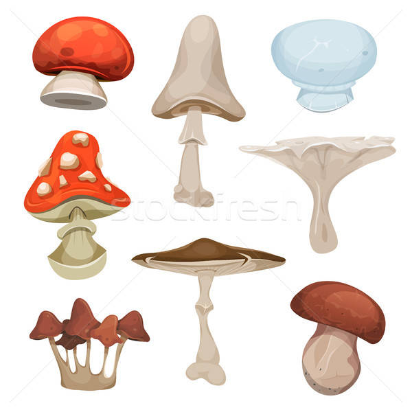 Champignons illustration cartoon espèce [[stock_photo]] © benchart