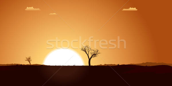 Summer Desert Plain Landscape Stock photo © benchart