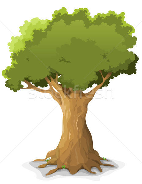 Primăvară stejar ilustrare desen animat mare vară Imagine de stoc © benchart