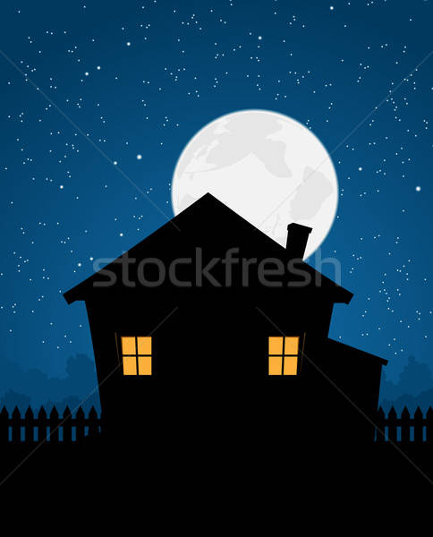 House Silhouette In Starry Night Stock photo © benchart