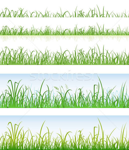 Senza soluzione di continuità erba verde illustrazione set Foto d'archivio © benchart