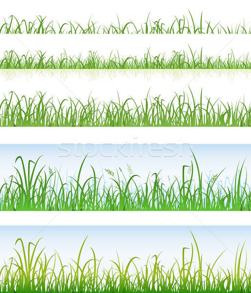 Naadloos groen gras lagen illustratie ingesteld Stockfoto © benchart