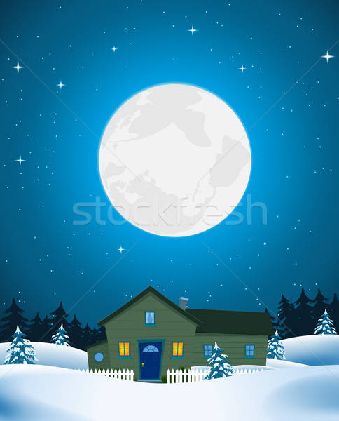 House In Winter Landscape Stock photo © benchart