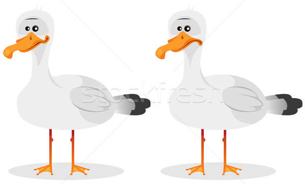 Funny Cute Seagull Stock photo © benchart