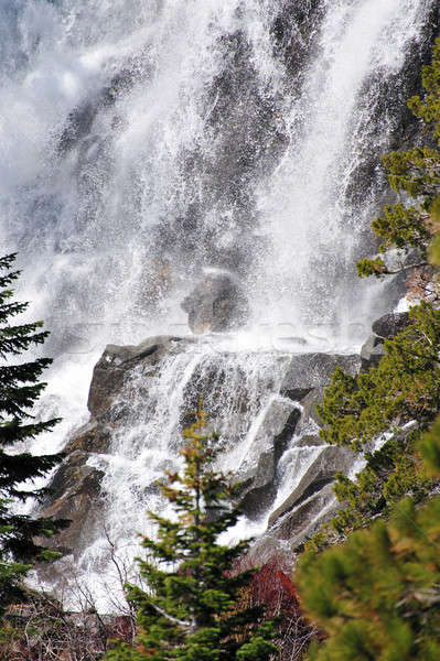 Forest Waterfall Stock photo © bendicks