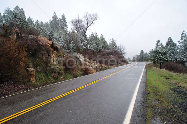 Mountain Road Stock photo © bendicks