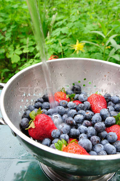 Bleuets fraises lavage fraîches baies [[stock_photo]] © bendicks