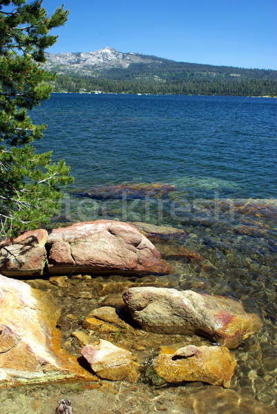 Montagne lac bleu été arbres vert [[stock_photo]] © bendicks