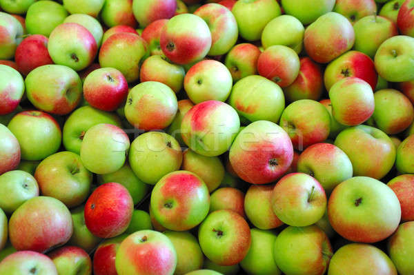 Groene Rood appels vers gedeeltelijk natuur Stockfoto © bendicks