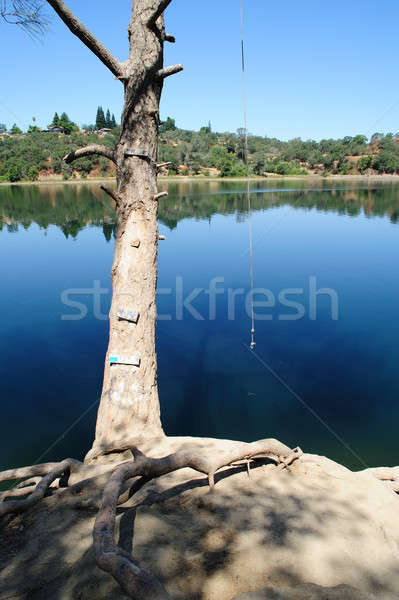 Frânghie leagăn râu aşteptare cineva Imagine de stoc © bendicks