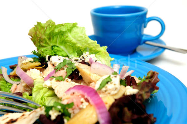 Tuna Salad Closeup Stock photo © bendicks
