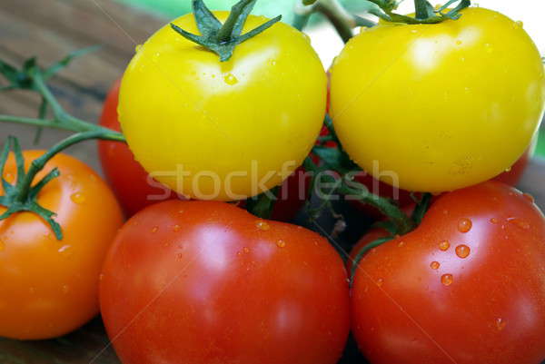 Red, Orange and Yellow Heirloom Tomatoes Stock photo © bendicks