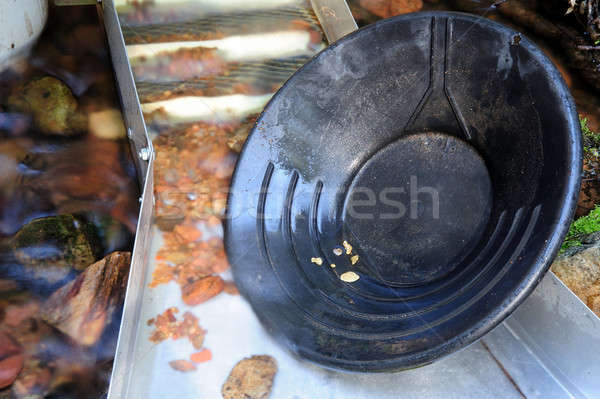 Gold pan schwarz Kunststoff innerhalb Feld Stock foto © bendicks