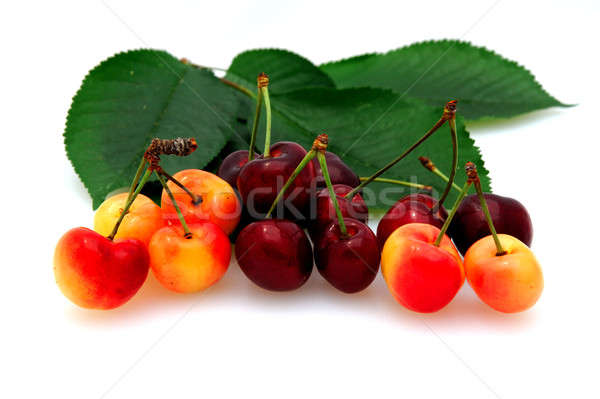 Foto stock: Cerezas · frescos · blanco · cereza · hojas · alimentos