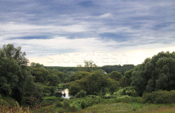 реке лес пейзаж облачный день дерево Сток-фото © bendzhik