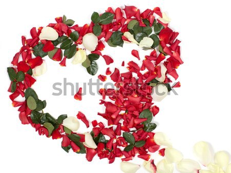 heart of the petals Stock photo © bendzhik
