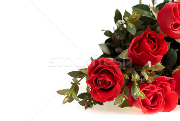 Red Roses Stock photo © bendzhik