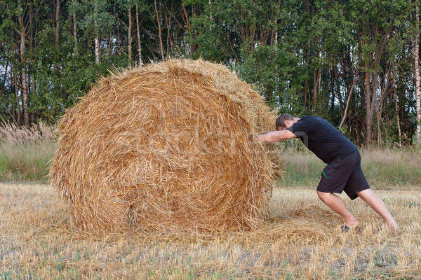 Homme meule de foin réservoir haut short poussant [[stock_photo]] © bendzhik