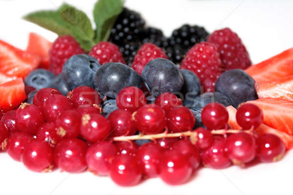 Berries Stock photo © bendzhik