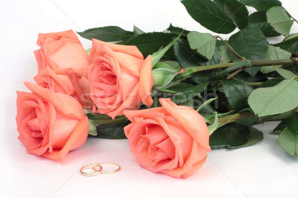 Roses and wedding rings Stock photo © bendzhik