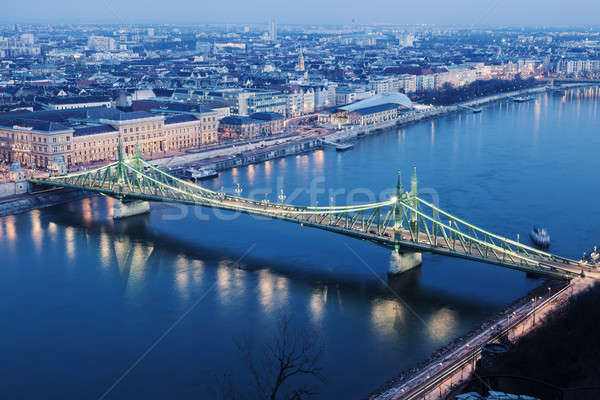 Liberty Bridgeand Danube River Stock photo © benkrut