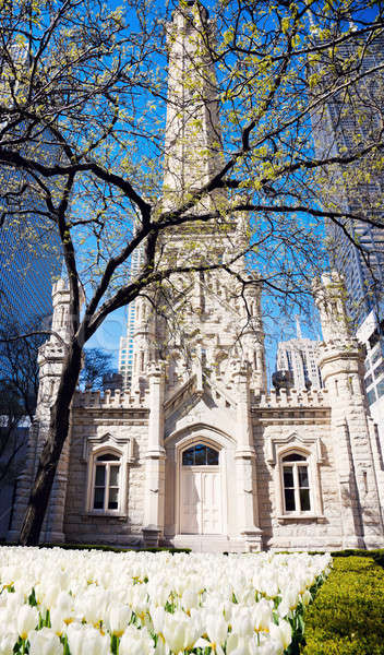 Foto stock: Agua · torre · Chicago · flores · de · primavera · flores · edificio