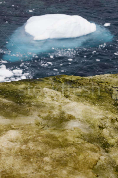 Antarctica landscape Stock photo © benkrut