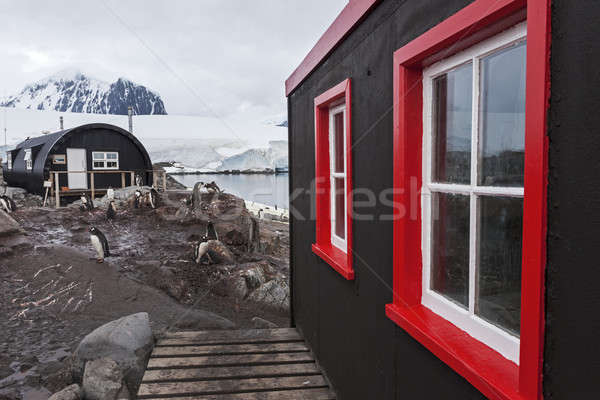 Stock photo: Colorful shed - Antarctica