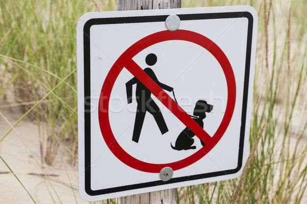 Keine Hunde erlaubt Zeichen Strand Wisconsin Stock foto © benkrut