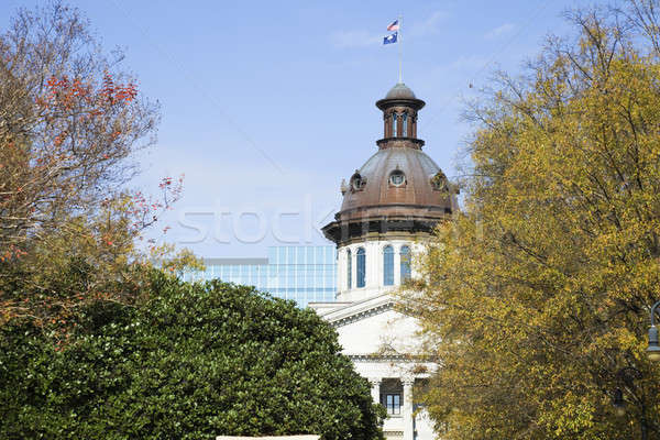 Gebäude South Carolina Baum Garten Stock foto © benkrut