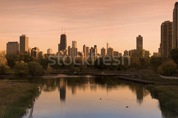 Chicago skyline parco tabacco filtrare Illinois Foto d'archivio © benkrut