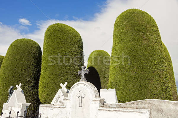 Foto stock: Cemitério · árvore · atravessar · pedra · paz · morto