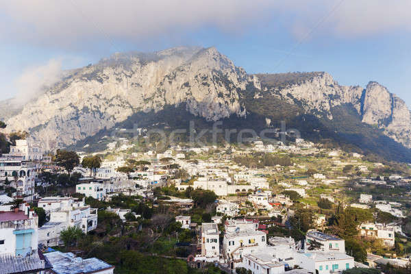 Panorama of Capri Island  Stock photo © benkrut
