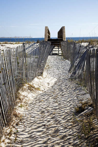 Path to the beach Stock photo © benkrut