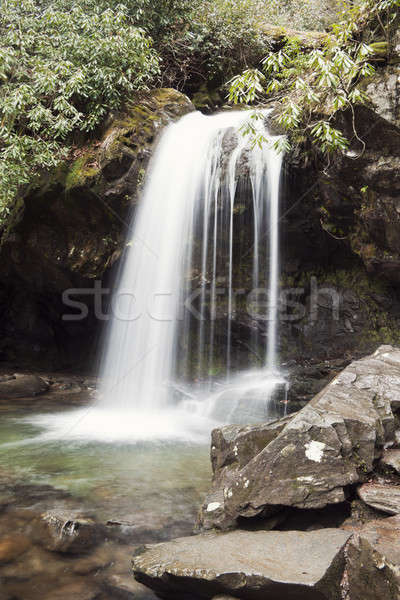 Grotto Falls Stock photo © benkrut