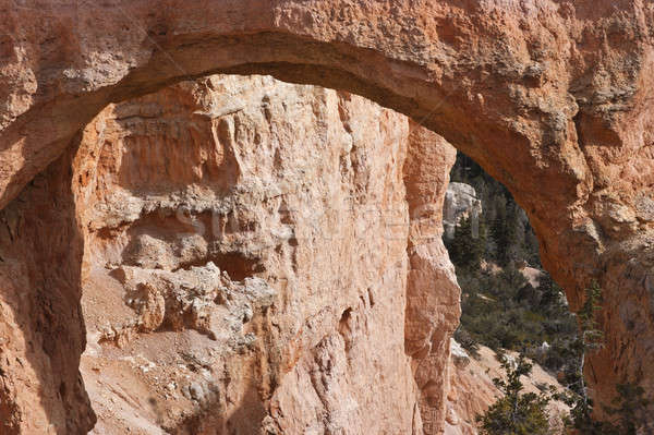 Arch in Bryce Canyon National Park  Stock photo © benkrut