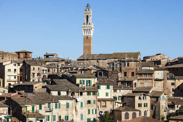 Tower of Siena town hall Stock photo © benkrut