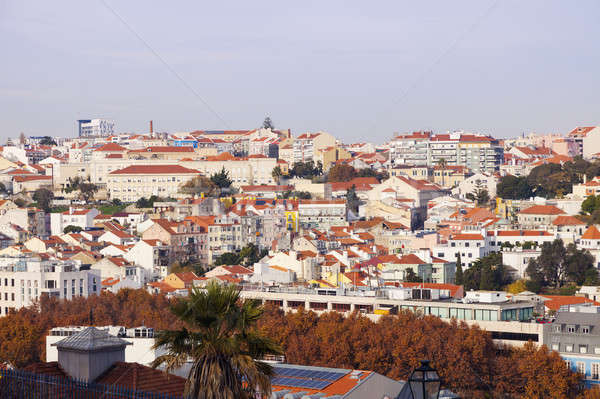 Panorama of Lisbon Stock photo © benkrut