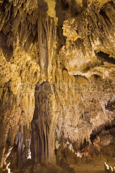 Park Új-Mexikó tájkép kő kő földalatti Stock fotó © benkrut