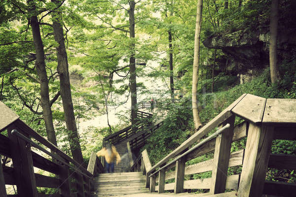 Tourist trail to Brandwine Falls  Stock photo © benkrut