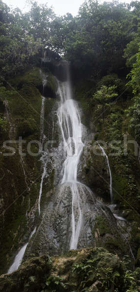 Cascades Waterfalls   Stock photo © benkrut
