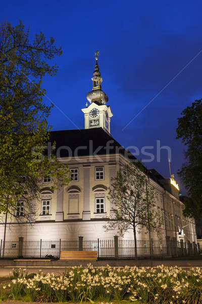 Landhaus in Linz Stock photo © benkrut