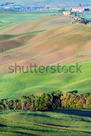 Stockfoto: Verbazingwekkend · Toscane · landschap · zonsopgang · Italië · boom