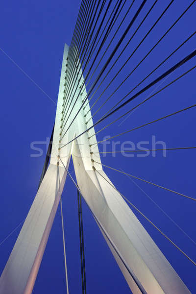 Erasmus Bridge  Stock photo © benkrut